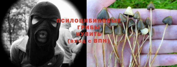 твердый Алзамай