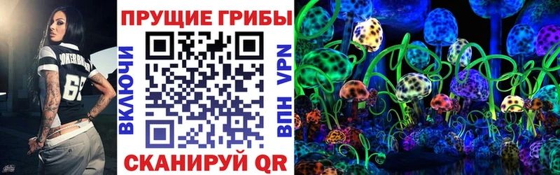 магазин продажи   ссылка на мегу сайт  Псилоцибиновые грибы Psilocybe  Тара 